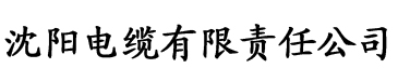 正品蓝导航导ACG电缆厂logo